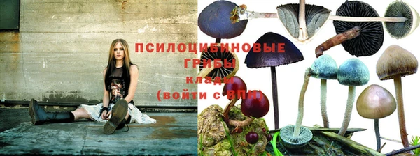 кокаин колумбия Арсеньев